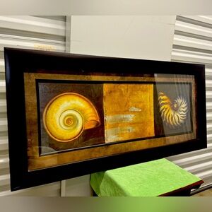 Classy Art Seashells I By Patricia Pinto Wall Art